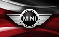 Опити за кражба - mini